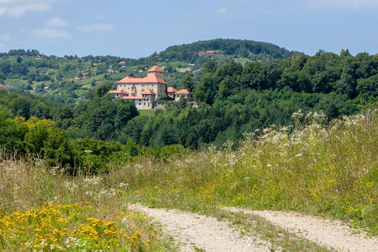 Domacija Vesel Βίλα Trebnje Εξωτερικό φωτογραφία