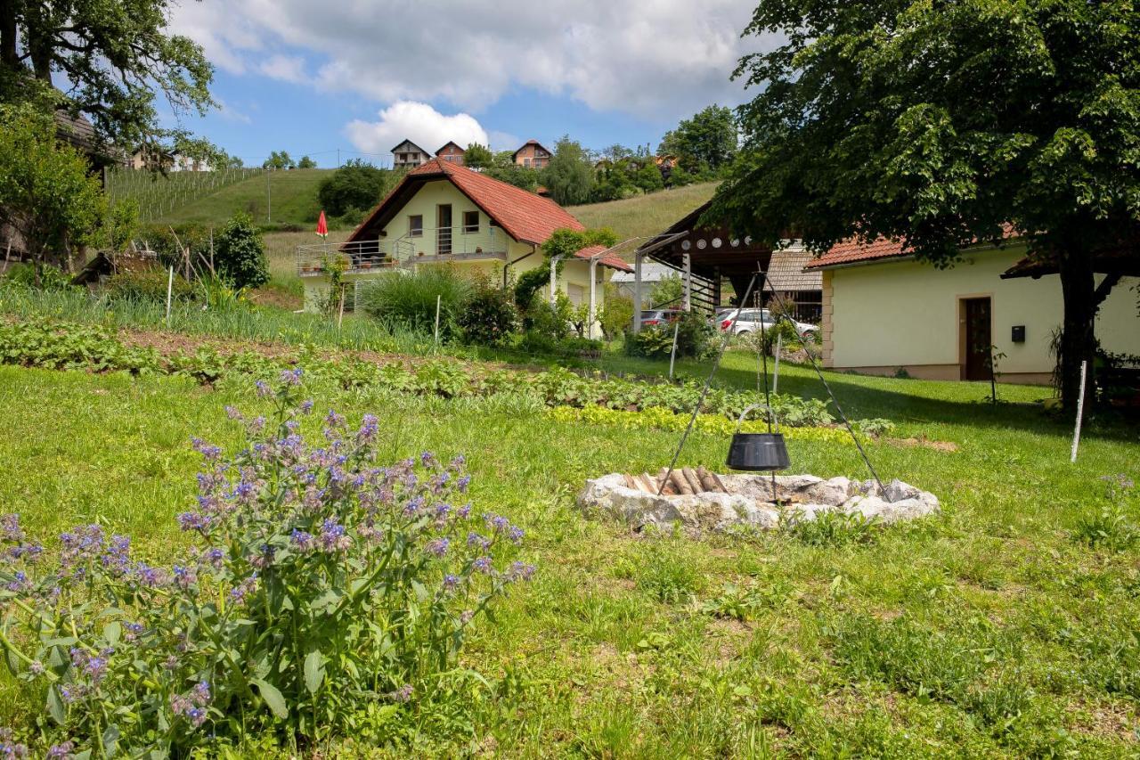 Domacija Vesel Βίλα Trebnje Εξωτερικό φωτογραφία